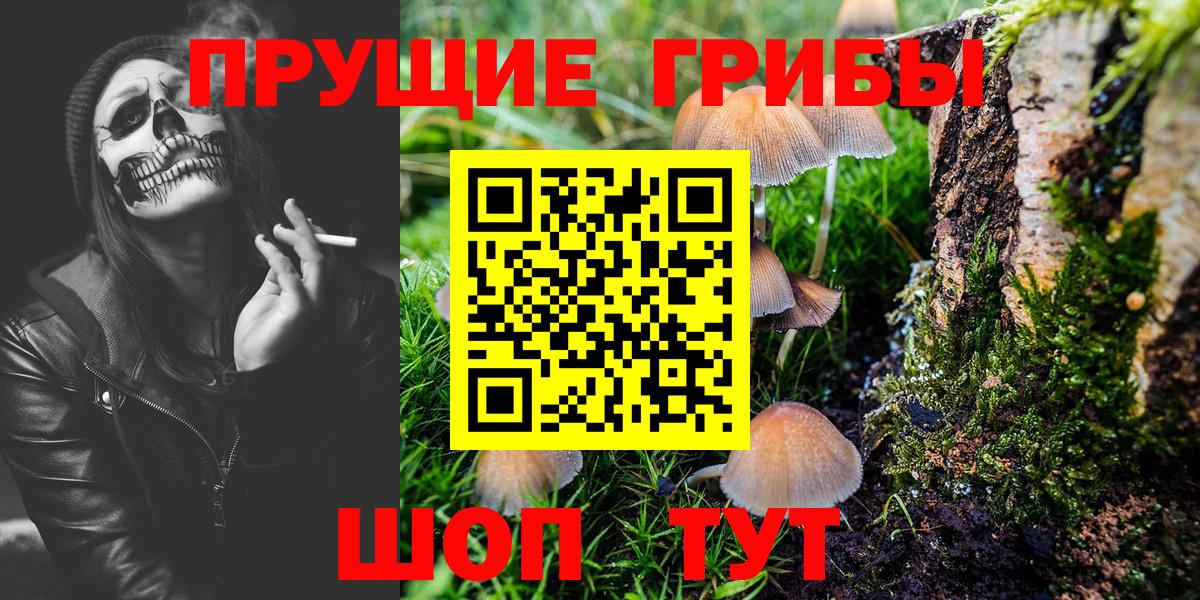 Галлюциногенные грибы Cubensis Вышний Волочёк